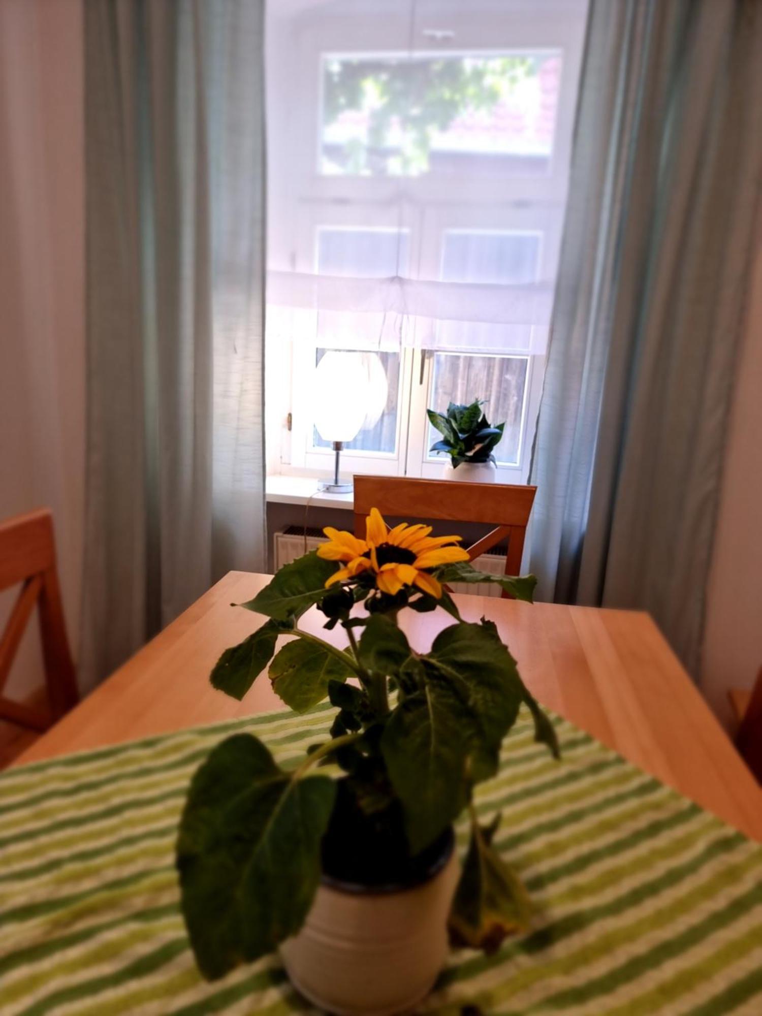 Ferienwohnung Boehm Segnitz Phòng bức ảnh
